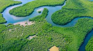 Entenda por que Belém foi escolhida para sediar a COP30