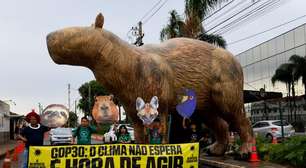 Postagens sugerem que crise climática não é urgente e atrasam adesão a ações concretas