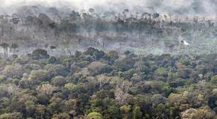 Brasil lança fundo para remunerar quem preserva florestas