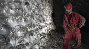 Megacolônia! Maior teia de aranha já registrada abriga mais de 111 mil aracnídeos