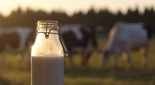 Audiência pública em Passo Fundo vai discutir projeto que proíbe venda de leite reconstituído no RS