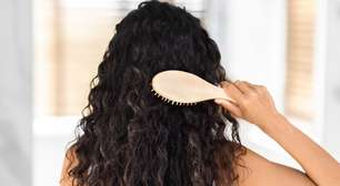 Stevia não é só adoçante: ingrediente pode potencializar tratamentos capilares
