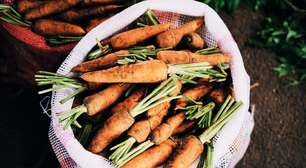 Prêmio reconhece iniciativas de combate à fome