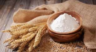 Trigo não é glúten: entenda a diferença e razões para consumi-lo