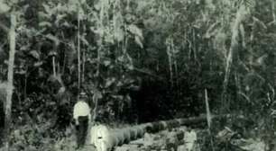 Parque em Belém, sede da COP30, revela história oculta da Amazônia