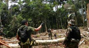 O pó que faz a fumaça: produção de cocaína destrói florestas e ignora a COP30