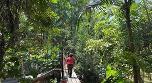 Comunidade ribeirinha a 10 minutos de Belém não tem água potável: 'No desespero já bebi do rio'