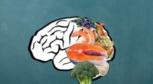 Quer melhorar a concentração? Veja 10 alimentos que favorecem o cérebro para os estudos