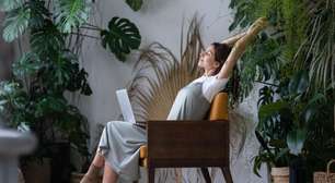 Lar mais verde: 5 plantas que crescem rápido para ter em casa