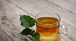 Planta tem 22 vezes mais cálcio que o leite de vaca: chá dessa folha fortalece os ossos e a imunidade