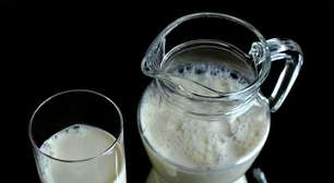 Alimentos ricos em cálcio; fundamentais no organismo