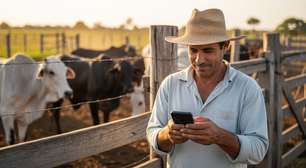 IaBoi leva inteligência artificial ao campo via WhatsApp