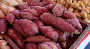 Consumo de batata-doce pode trazer uma série de benefícios ao organismo; confira