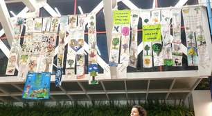 Bordadeiras levam artivismo à COP30