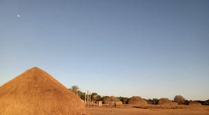 Vozes da Amazônia: projeto paraense une conhecimentos indígenas e da academia para enfrentar a crise climática