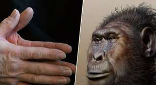 Paradoxo do Quênia: acabamos de descobrir que a primeira mão "humana" data de antes da existência dos humanos