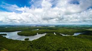 O cofre secreto que pode fazer a amazônia viver para sempre
