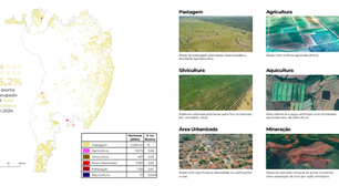 Pantanal vive a década mais seca com 75% menos áreas alagadas