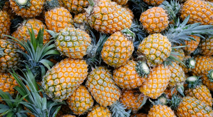 Nutricionista recomenda comer abacaxi no jantar; descubra porque