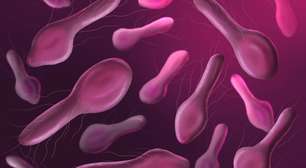 Botulismo: sinais, causas e o que fazer diante da doença