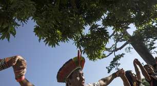 Survival pressiona COP30 para 'mudar rumos' e 'respeitar indígenas'