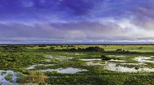 Conheça os biomas brasileiros que vão muito além da floresta amazônica e também merecem atenção da COP 30