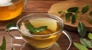 Chá de louro: 8 benefícios para a saúde e dicas de preparo