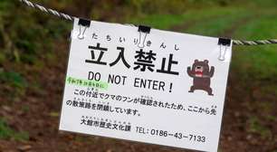 Japão aprova pacote de medidas para conter ataques mortais de ursos
