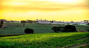 Mirassol: tradição, cultura e o impacto do futebol no interior paulista