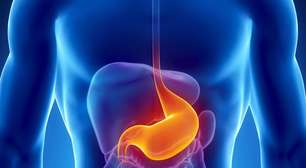 Você sabia que o estômago se renova o tempo todo?