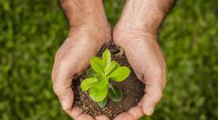 COP30 impulsiona interesse por clima e reposiciona o Brasil