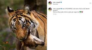 Palmeiras busca acordo no STJD para livrar Vitor Roque de julgamento