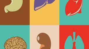 Xenotransplante: como órgãos de animais podem revolucionar a medicina