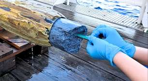 Está vivo! Cientistas descobrem criaturas vivas em "meleca vulcânica" encontrada nas profundezas do oceano