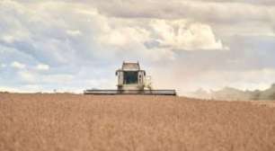 Índice de Atividade Econômica do BC Cai 0,20% em Setembro