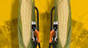 Agro conseguiu R$ 2,5 bilhões do Fundo Clima para financiar empresas com infrações ambientais