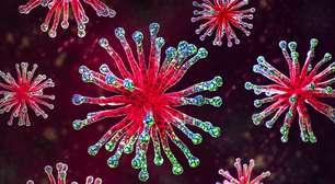 Um misterioso vírus ancestral revela segredos que podem ajudar a combater superbactérias