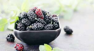 Chá de amora: sabor, tradição e benefícios para o bem-estar