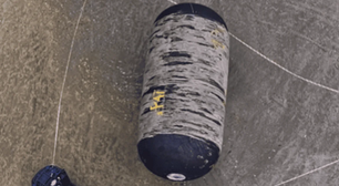 Objeto 'gigante' surge em praia do litoral de SP e intriga banhistas; saiba o que é