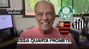 Flamengo, Palmeiras e Santos Essa quarta promete