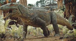 Ancestral dos crocodilos e jacarés: nova espécie de réptil fóssil é descoberta no RS