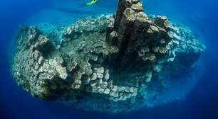 Florestas Marinhas em pauta na COP30