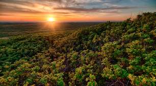 Ecora, certificadora de carbono, atuará em todos os biomas