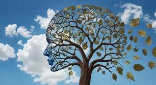 Estudo aponta causa para perda de memória familiar em Alzheimer