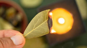 Veja por que você deve queimar folhas de louro em sua casa