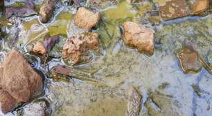 Chorume: o líquido tóxico que ameaça saúde e meio ambiente