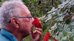 Morre Jards Macalé, músico, cantor e compositor, aos 82 anos