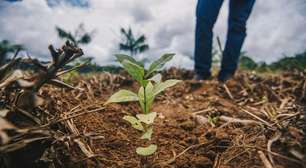 Crédito de carbono chega às cidades pelas mãos de catadores
