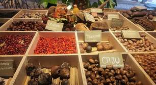 Casa da Floresta: a Amazônia que ensina, acolhe e aponta caminhos