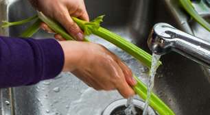 Truque para evitar desperdício de alimentos viraliza no TikTok